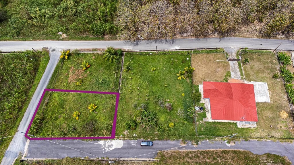 6,349 sq ft freehold land — Samaan Avenue, Dow Village